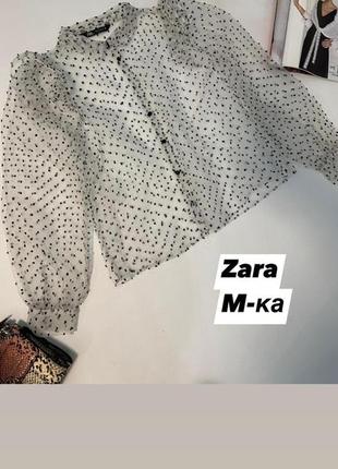 Стильная блуза zara7 фото