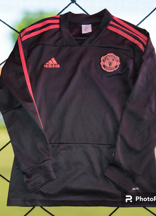 Підліткова футбольна кофта adidas fc manchester united