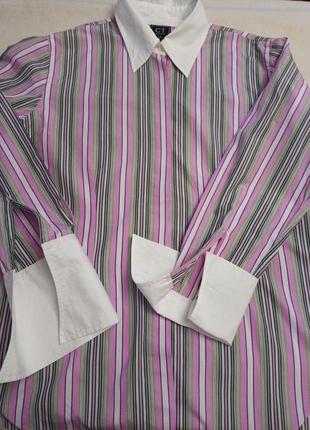 Классическая рубашка  с белым воротом и манжетами под запонки-большой размер