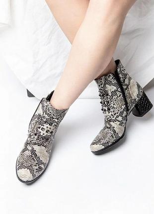 Ameshoes ботильйони черевики рептилія