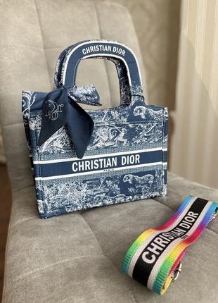 Christian dior large book blue  van-271027