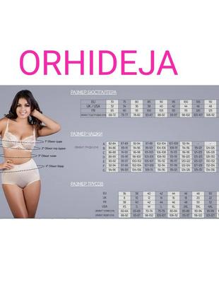 Шикарный бюстгальтер orhideja 188-000 черного цвета спейсер прибалтика орхидея