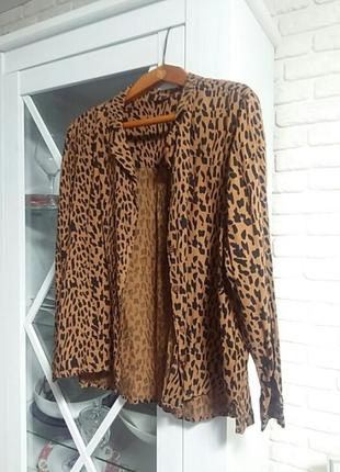 Сорочка м&co