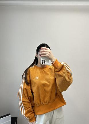 Світшот велюровий adidas