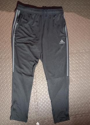 Брюки adidas оригинал1 фото