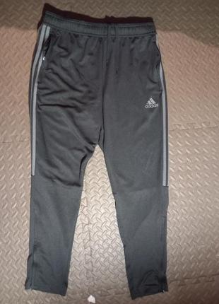 Брюки adidas оригинал2 фото