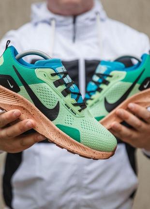 Мужские кроссовки nike pegasus trail 3