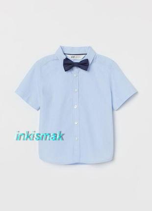 Метелик краватка синій на застібці h&m