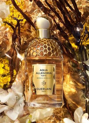 Guerlain aqua allegoria forte bosca vanilla