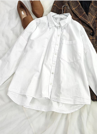 Базова біла сорочка з хрусткої бавовни promod1 фото