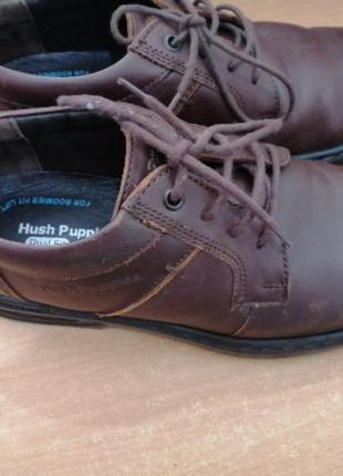 Туфлі чоловічі, hush puppies, пакистан.