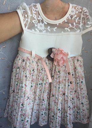 Плаття, сукня