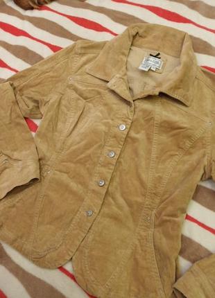 Жакет, піджак, вельветова куртка.5 фото