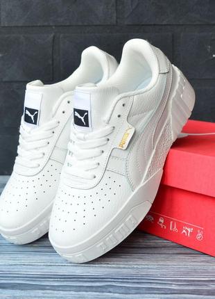 Puma3 фото