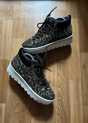 Женские кроссовки skechers strt clt wt ld99 animal2 фото