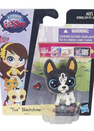 Ігровий набір littlest pet shop тер'єр tux blackstone con03953) pet. littlest pet shop тукс блекстоун hasbro