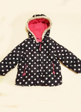 Куртка для дівчинки на 1,5 - 2,5 роки курточка дитяча в горох