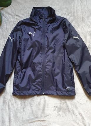 Шикарная  куртка ветровка puma! оригинал!