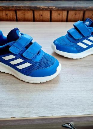 Кроссовки adidas, кроссовки adidas2 фото