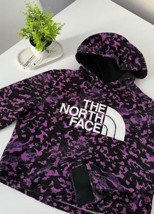 Худи thenorthface5 фото