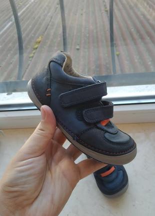 Кросівки clarks