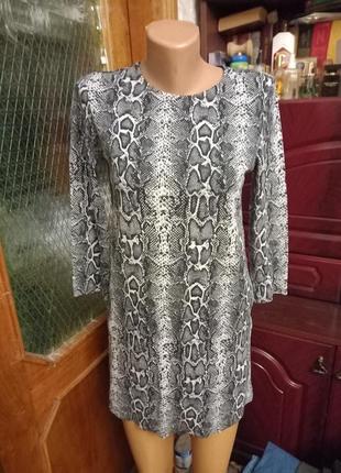 Фірмова туніка