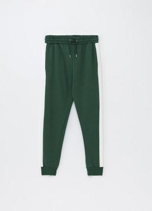 Мужские брюки на легком утеплении