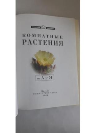 Хатні рослини від А до я.5 фото