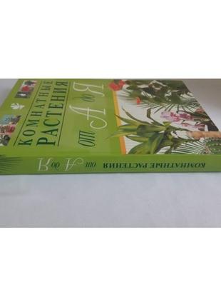 Хатні рослини від А до я.2 фото