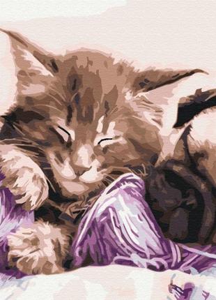 Картина за номерами бабусині улюбленці bs31170