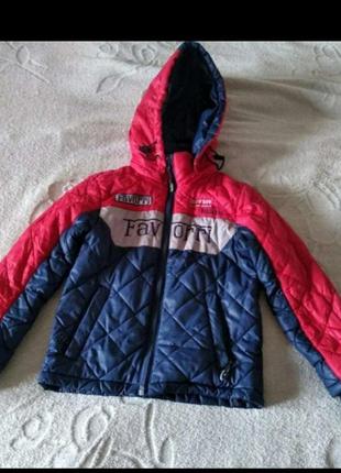 Демисизонная куртка.