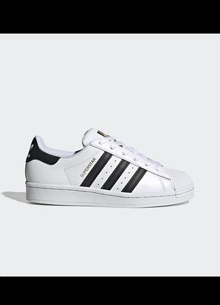 Оригінальні кросівки adidas superstar