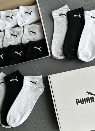 Набір носків 18 пар puma