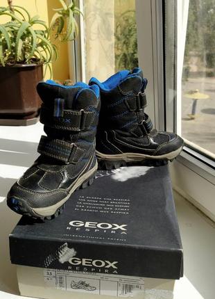 Зимние ботинки geox 24p.
