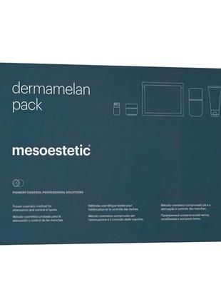 Mesoestetic dermamelan professional pack професійний депігментуючий набір2 фото