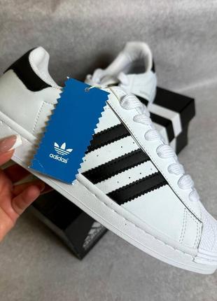 Мужские кроссовки adidas superstar