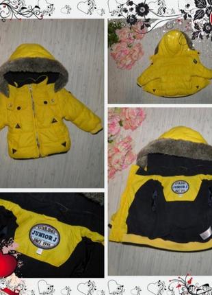 Обнова!! куртка jasper conran junior (p.68 на 3-6 мес)курточка.