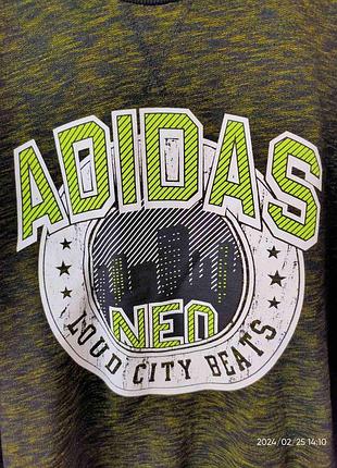 Світшот adidas neo р-р s 3