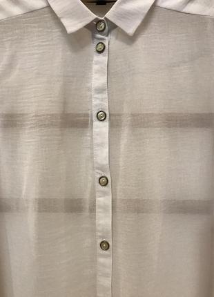 Очень красивая и стильная брендовая блузка светлого цвета 20.3 фото