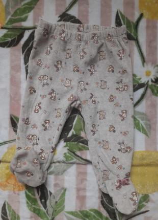 Велюровые ползунки