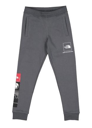 Брюки на флисе the north face 5-6 лет 110-118 см детские спортивные штаны серые