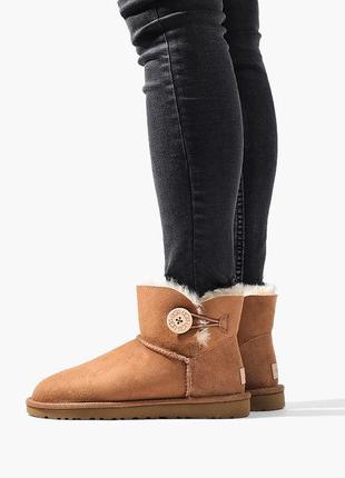 Ugg mini bailey button ii brown (1016422) угги коричневые с пуговицей1 фото