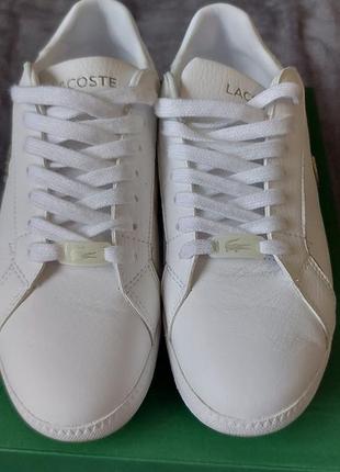 Кеды кроссовки lacoste2 фото