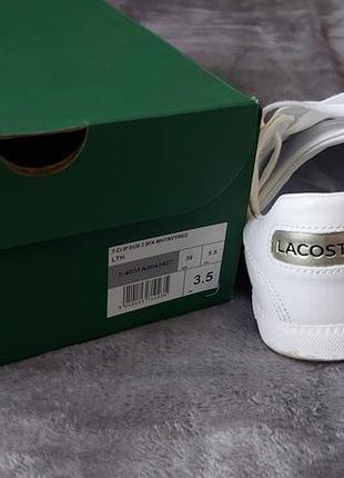 Кеды кроссовки lacoste5 фото