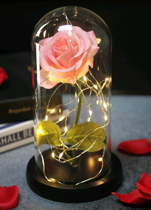 Троянда в колбі з підсвіткою/гірлянд. троянда під куполом рожева1 фото