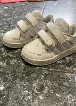 Adidas bebe blanche discount