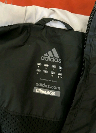 Ветровка женская adidas clima3654 фото