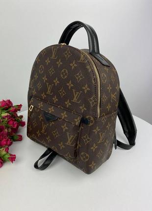 Louis vuitton backpack brown