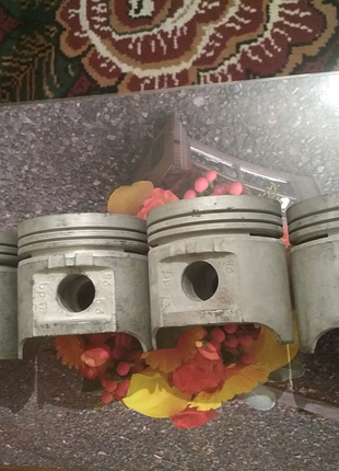 Комплект поршнів газ - 24