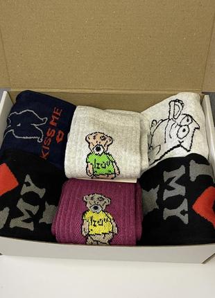 Жіночий подарунковий бокс шкарпеток з високою резинкою з принтом коти та teddy, розмір 36-41